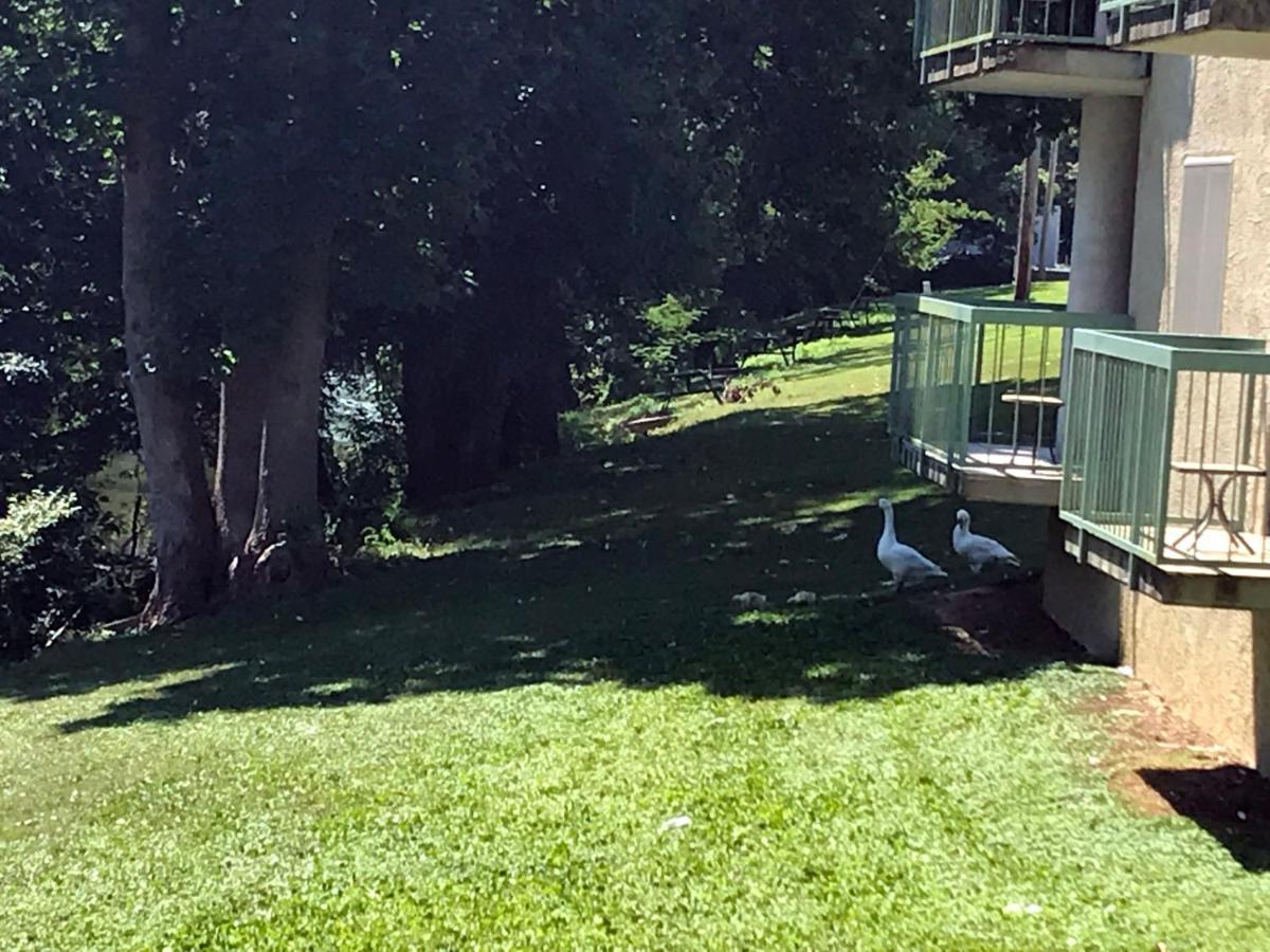 The River Cottage Pigeon Forge Luaran gambar